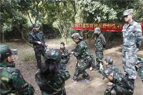 八路军冲锋号视频,八路军冲锋号视频再现英勇壮举