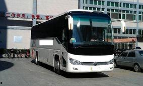 a1大客车科目三视频